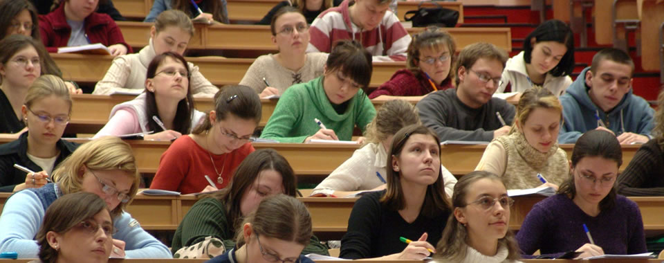 网页版呼叫在线轰炸电话